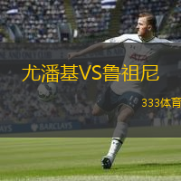 尤潘基VS鲁祖尼