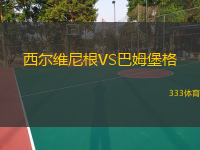 西尔维尼根VS巴姆堡格