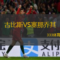 古比斯VS塞那乔其