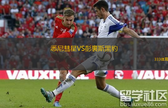 悉尼彗星VS彭裏斯黑豹