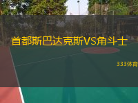 首都斯巴达克斯VS角斗士